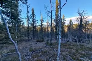 00 Haida Ln, Como, CO 80432 - Photo 1