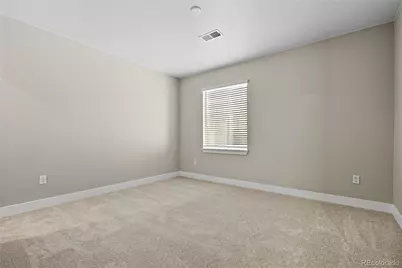 5591 Farrier Point, Castle Rock, CO 80104 - Photo 29
