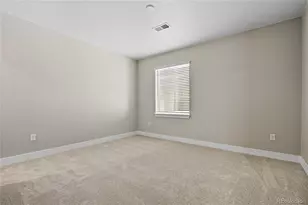 5591 Farrier Pt, Castle Rock, CO 80104 - Photo 29