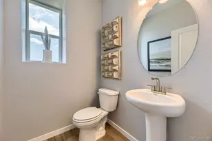 13786 Daffodil Point, Parker, CO 80134 - Photo 21