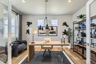 13786 Daffodil Point, Parker, CO 80134 - Photo 3