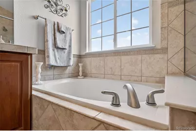 2695 Paw Print Way, Castle Rock, CO 80109 - Photo 33