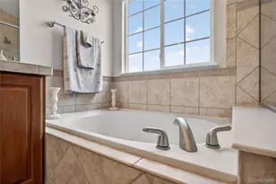 2695 Paw Print Way, Castle Rock, CO 80109 - Photo 33