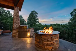 1048 Vintage Pl, Castle Rock, CO 80108 - Photo 25