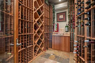 1048 Vintage Pl, Castle Rock, CO 80108 - Photo 41