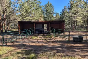 1525 Vigilante Ave, Bailey, CO 80421 - Photo 19