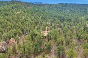 1525 Vigilante Ave, Bailey, CO 80421 - Photo 23