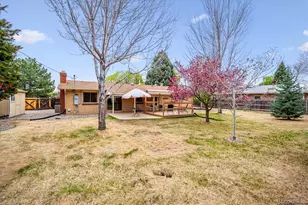 8329 S Allison St, Littleton, CO 80128 - Photo 23