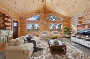 1910 Wildhorn Rd, Florissant, CO 80816 - Photo 3