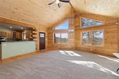 1910 Wildhorn Road, Florissant, CO 80816 - Photo 5