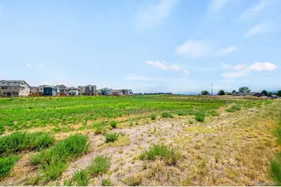 16103 E 111th Drive, Commerce City, CO 80022 - Photo 29