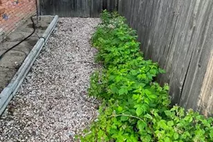 7126 Mt Sherman Rd, Longmont, CO 80503 - Photo 17