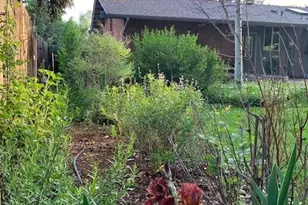 7126 Mt Sherman Rd, Longmont, CO 80503 - Photo 19