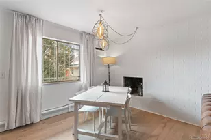 1140 N Downing St, Denver, CO 80218 - Photo 19