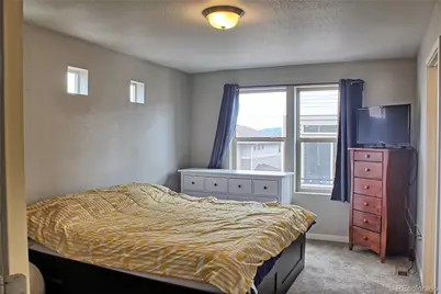 4144 Elegant Street, Castle Rock, CO 80109 - Photo 9