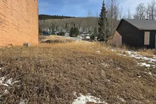 906 Victor Ave, Goldfield, CO 80860 - Photo 5