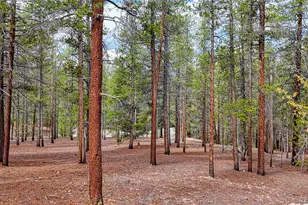 1871 Garnet St, Leadville, CO 80461 - Photo 23