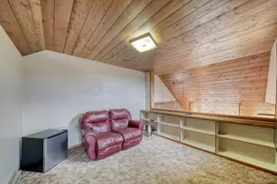 37811 Twin Kopie Rd, Buena Vista, CO 81211 - Photo 25