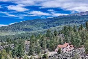 37811 Twin Kopie Rd, Buena Vista, CO 81211 - Photo 3