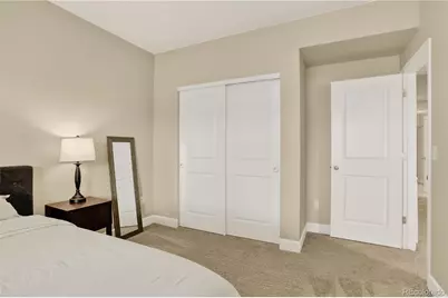 8923 Animas River Street, Littleton, CO 80125 - Photo 39