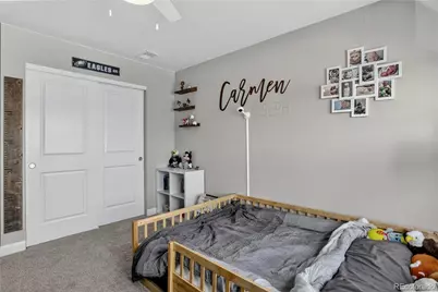 8923 Animas River Street, Littleton, CO 80125 - Photo 27