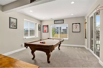 8923 Animas River Street, Littleton, CO 80125 - Photo 37