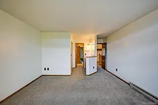 815 Vendome Ave, Leadville, CO 80461 - Photo 25