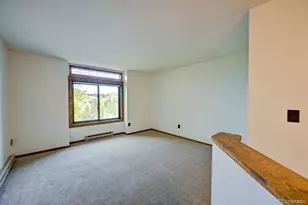 815 Vendome Ave, Leadville, CO 80461 - Photo 23