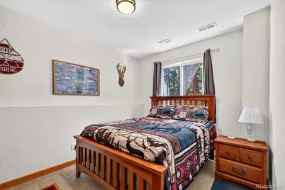 255 Bum Drive, Fairplay, CO 80440 - Photo 31