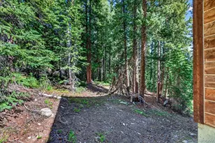 255 Bum Dr, Fairplay, CO 80440 - Photo 35