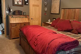744 Whale Dr, Lake George, CO 80827 - Photo 15