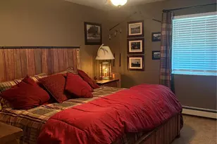 744 Whale Dr, Lake George, CO 80827 - Photo 13