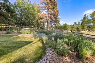 5506 Irish Pat Murphy Dr, Parker, CO 80134 - Photo 39