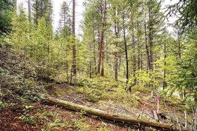 10862-10872 Twin Spruce Road, Golden, CO 80403 - Photo 3