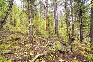 10862-10872 Twin Spruce Rd, Golden, CO 80403 - Photo 1