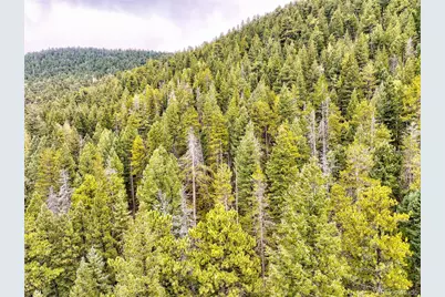 10862-10872 Twin Spruce Road, Golden, CO 80403 - Photo 5