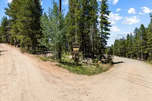 34038 Forest Estates Rd, Evergreen, CO 80439 - Photo 41