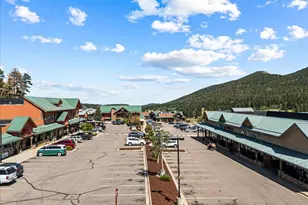 34038 Forest Estates Rd, Evergreen, CO 80439 - Photo 45