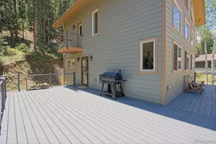 34038 Forest Estates Rd, Evergreen, CO 80439 - Photo 35