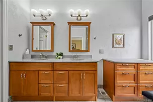 22042 Hill Gail Way, Parker, CO 80138 - Photo 21