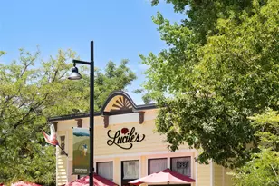 1155 Petras St, Erie, CO 80516 - Photo 49