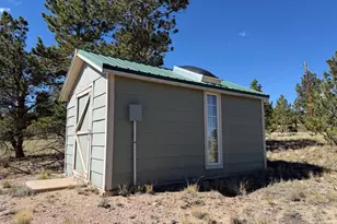386 Angus Cir, Hartsel, CO 80449 - Photo 19