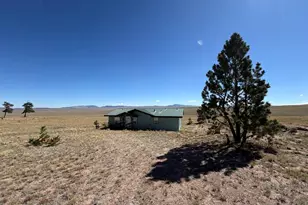 386 Angus Cir, Hartsel, CO 80449 - Photo 25