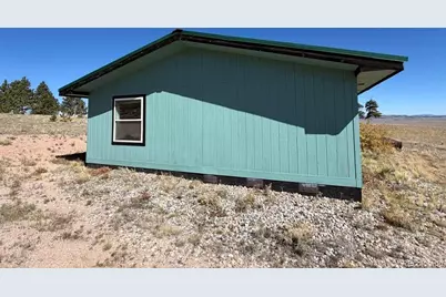 386 Angus Circle, Hartsel, CO 80449 - Photo 23