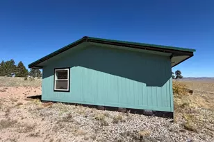 386 Angus Cir, Hartsel, CO 80449 - Photo 23