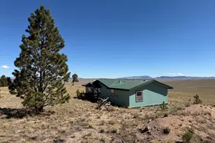 386 Angus Cir, Hartsel, CO 80449 - Photo 27