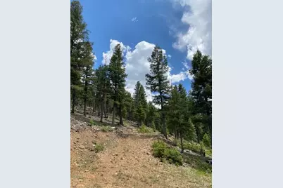 28651 Belle Point Drive, Conifer, CO 80433 - Photo 23