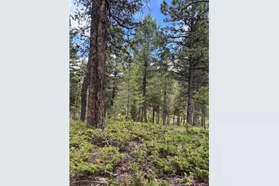 28651 Belle Point Drive, Conifer, CO 80433 - Photo 13