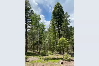 28651 Belle Point Drive, Conifer, CO 80433 - Photo 19