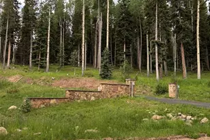 28651 Belle Point Dr, Conifer, CO 80433 - Photo 1